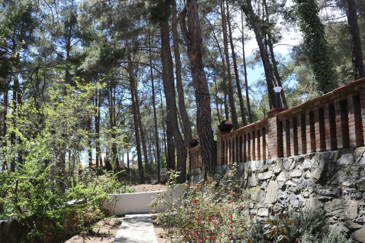 Semiramis Lodge Platres Exterior foto